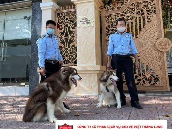 Bảo vệ tòa nhà riêng, dinh thự, biệt thự